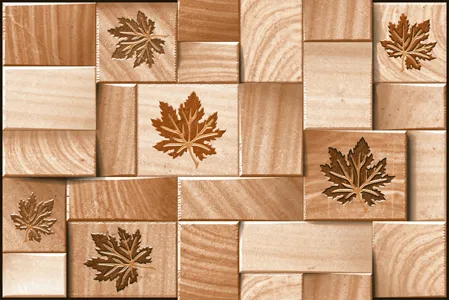 Matte Finish 1105 Ceramic 300x450mm