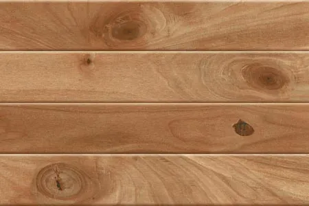 Glossy Finish 20927-D Ceramic 300x450mm