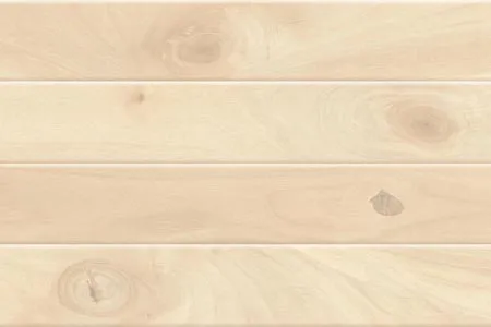 Glossy Finish 20927-L Ceramic 300x450mm