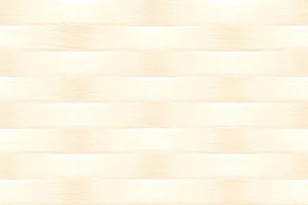 10706-L 300x450mm Glossy Ceramic tile in a 3d look
