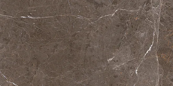 Glossy Finish AC 6832 DK Ceramic 300x600mm
