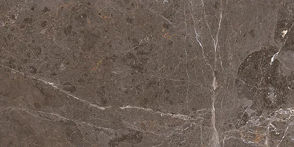 Glossy Finish AC 6832 DK Ceramic 300x600mm