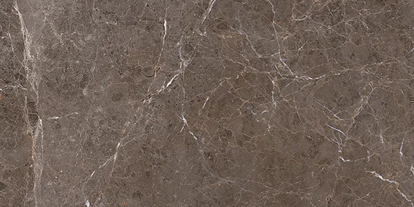 Glossy Finish AC 6832 DK Ceramic 300x600mm