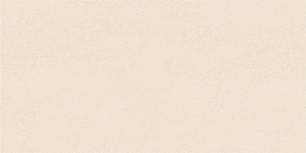 Matte Finish 22001 L Ceramic 300x600mm