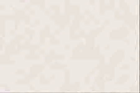 Glossy Finish 1835 LT Ceramic 300x450mm