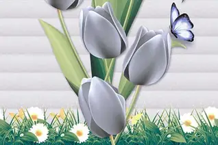 Glossy Finish 10836-HL2 300x450mm