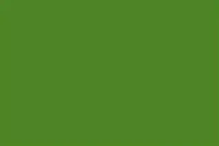 Glossy Finish BOTTLE GREEN 300x450mm