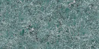 Glossy Finish 24832 D 300x600mm