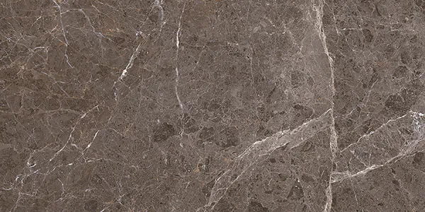 Glossy Finish AC 6832 DK Ceramic 300x600mm