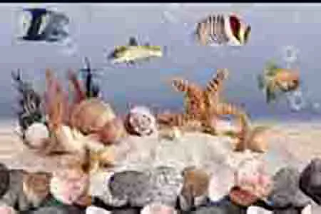 Glossy Finish 1904 HL 1 300x450mm