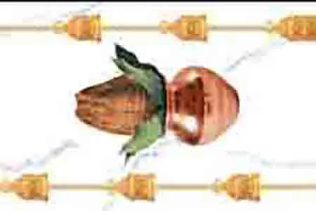 Glossy Finish 5054 HL 22 300x450mm