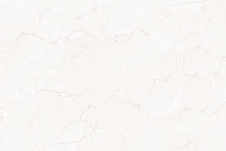 Glossy Finish 10705-L Ceramic 300x450mm