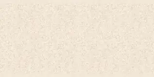 Matte Finish W Evans 08 300x600mm