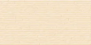 Matte Finish W 5814 300x600mm