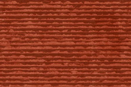 Matte Finish Lignite 02 Ceramic 300x450mm