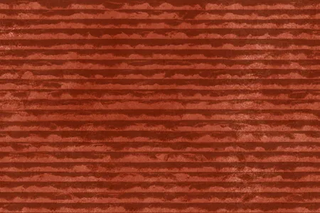 Matte Finish Lignite 02 Ceramic 300x450mm