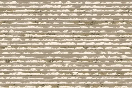 Matte Finish Lignite 05 Ceramic 300x450mm