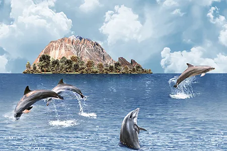 Glossy Finish 10527-HL-1 Ceramic 300x450mm