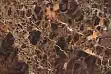 Glossy Finish 1905 DK Ceramic 300x450mm