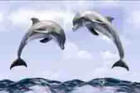 Glossy Finish 1904 HL 2 Ceramic 300x450mm