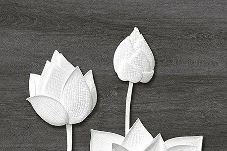 Glossy Finish 10648-HL-1 Ceramic 300x450mm