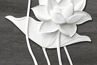 Glossy Finish 10648-HL-2 300x450mm