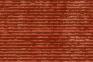 Matte Finish Lignite 02 Ceramic 300x450mm