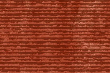 Matte Finish Lignite 02 Ceramic 300x450mm