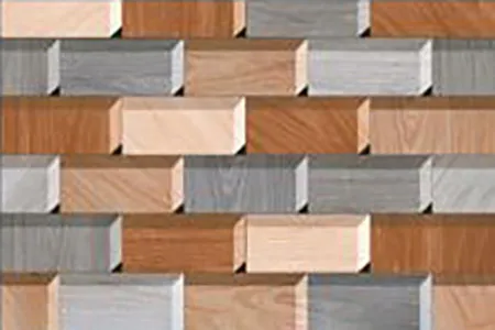 Glossy Finish 6173 Ceramic 300x450mm