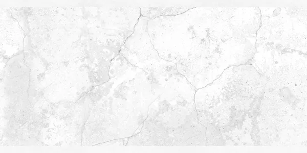 Matte Finish W Evans 09 300x600mm