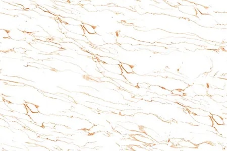Glossy Finish 10715-L Ceramic 300x450mm