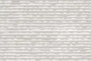 Matte Finish Lignite 04 300x450mm