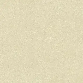 Matte Finish 6060FBM MIMOSA 600x600mm