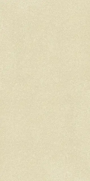 Matte Finish 60120FBM MIMOSA 600x1200mm