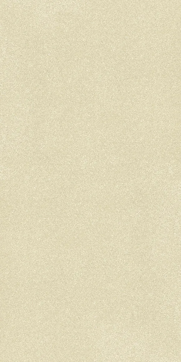 Matte Finish 60120FBM MIMOSA Full Body 600x1200mm