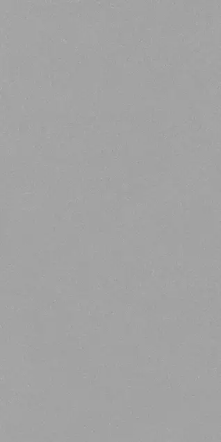 Matte Finish 60120FBM GREY 600x1200mm