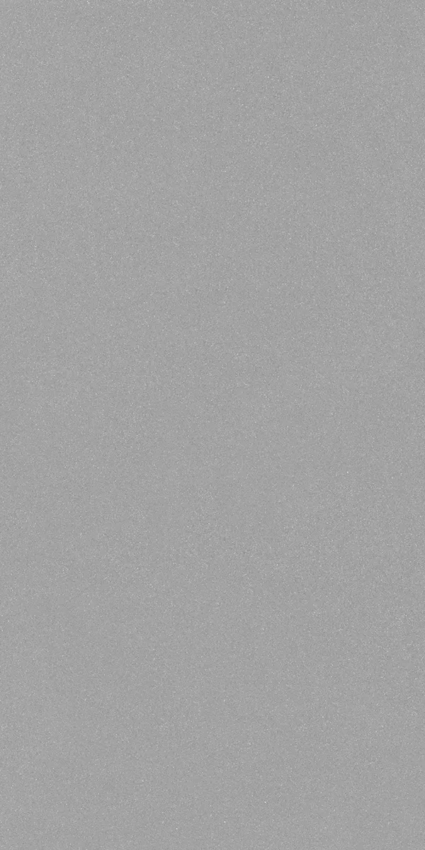 Matte Finish 60120FBM GREY 600x1200mm
