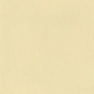 Matte Finish 6060FB RUSTY BEIGE 600x600mm