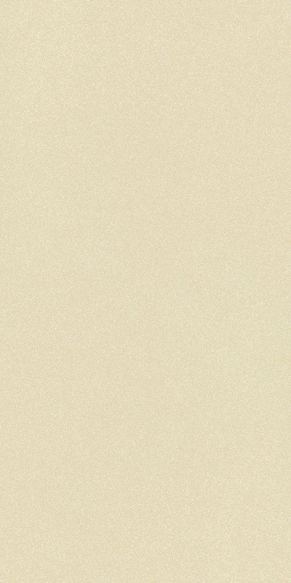 Matte Finish 60120FBM BEIGE Full Body 600x1200mm