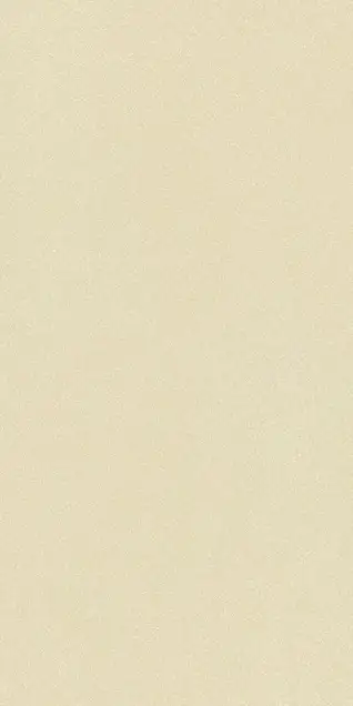 Matte Finish 60120FBM BEIGE 600x1200mm