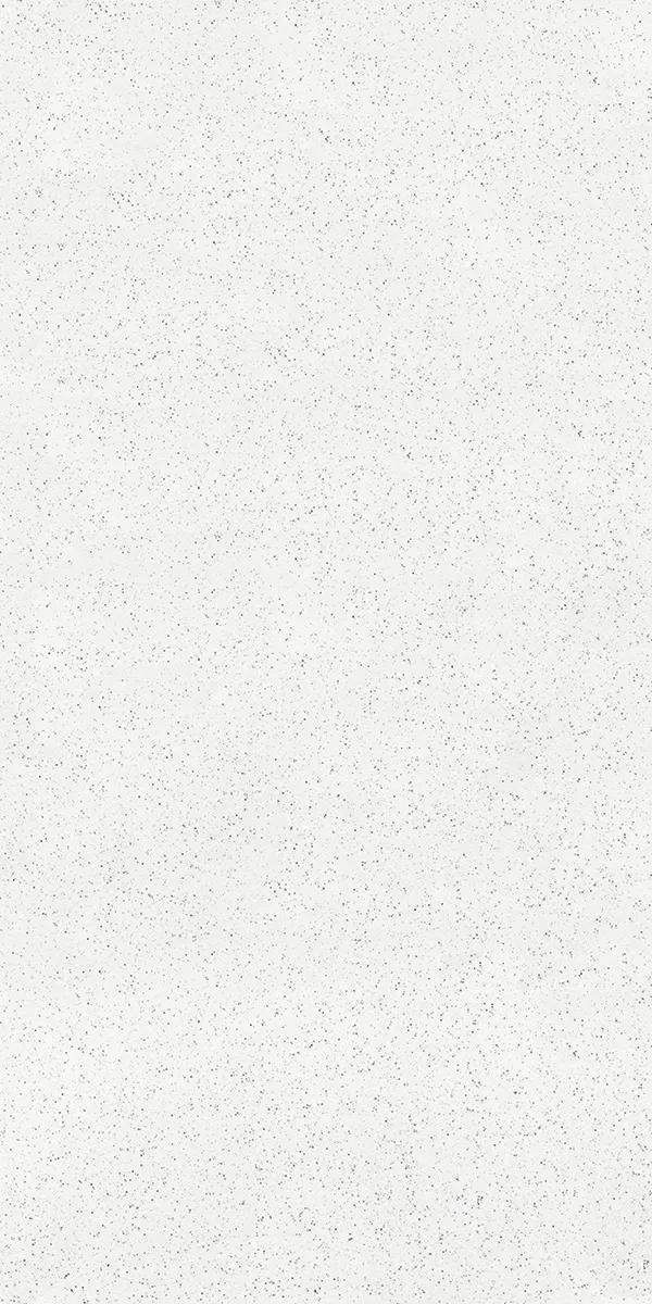 Matte Finish 60120FBM ROYAL Full Body 600x1200mm