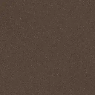 Matte Finish 6060FBM CHOCO 600x600mm