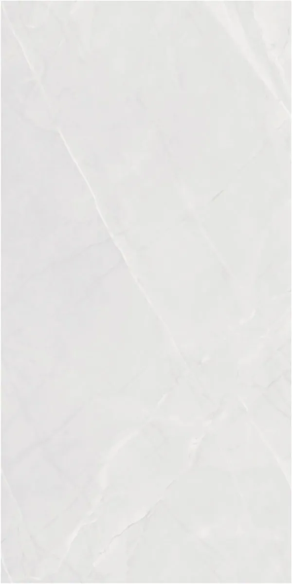 Matte Finish 60120MT ARMANI BIANCO GVT 600x1200mm
