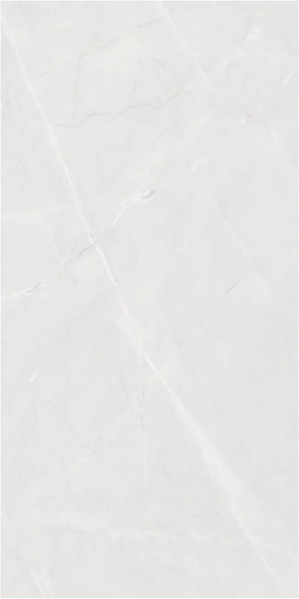 Matte Finish 60120MT ARMANI BIANCO GVT 600x1200mm