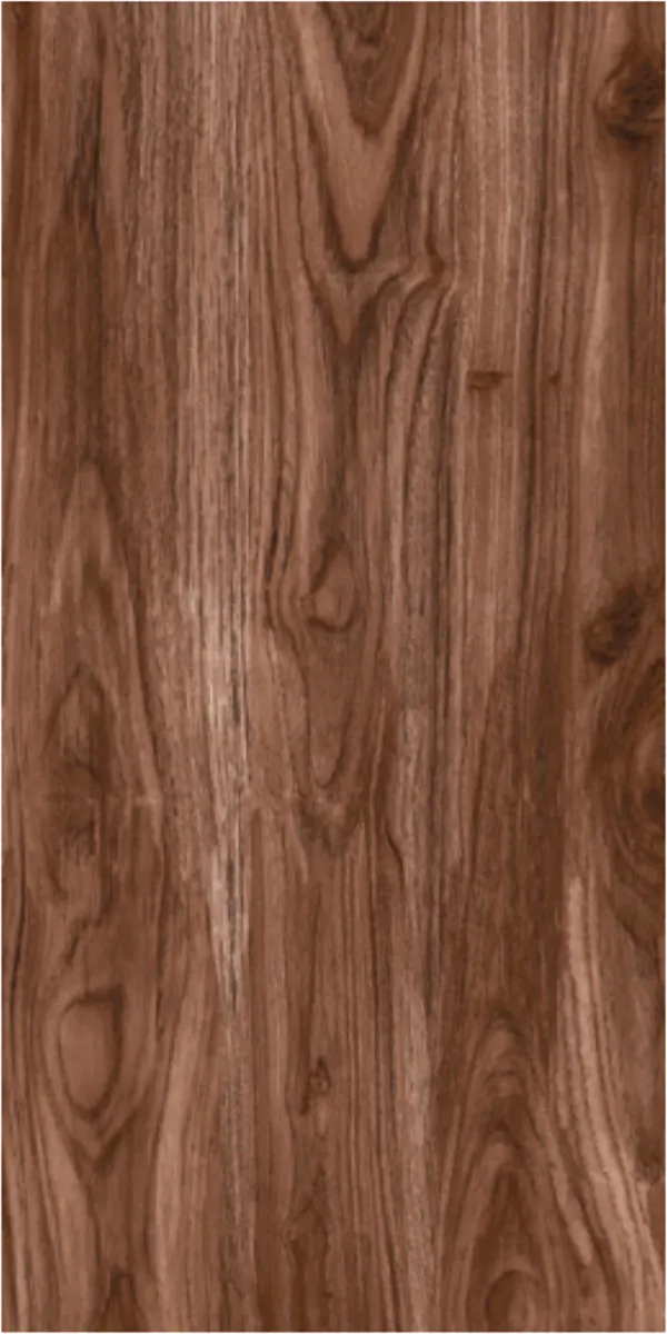 Matte Finish 60120MT CELTIS CHOCO GVT 600x1200mm