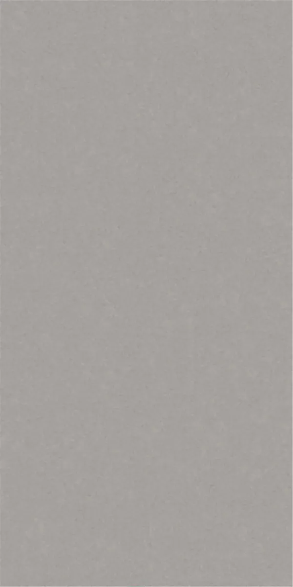 Matte Finish 60120MT NEO GREY GVT 600x1200mm
