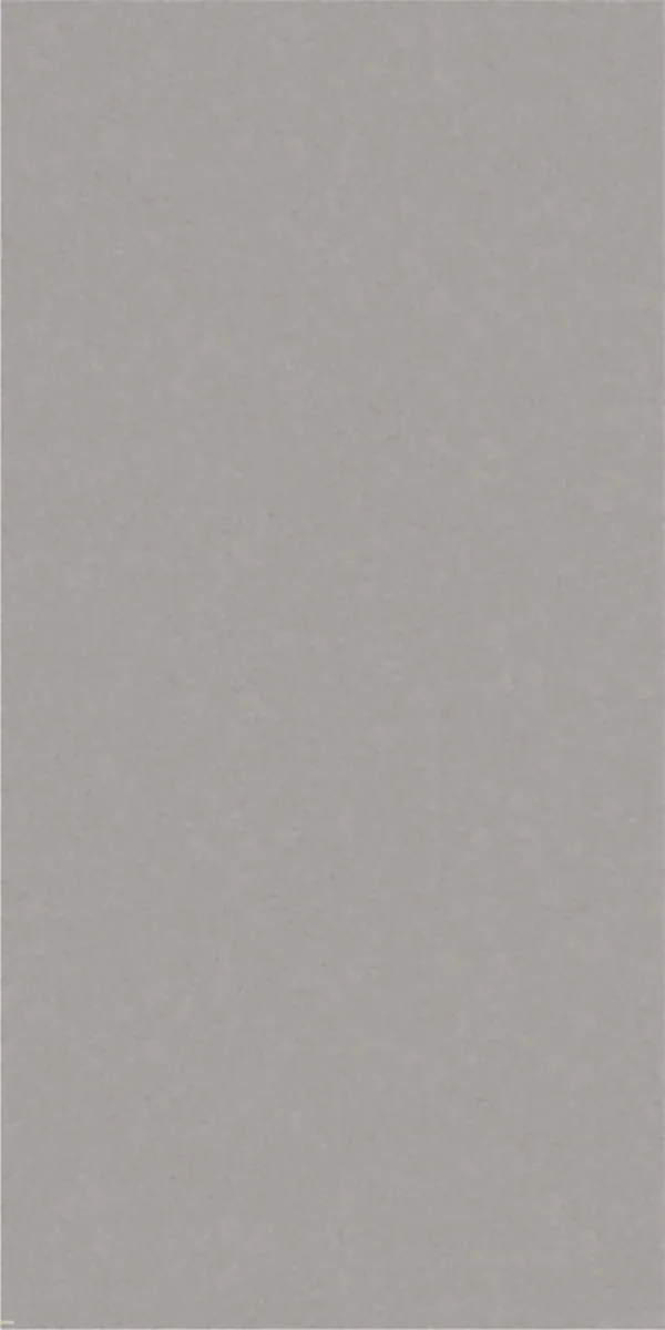 Matte Finish 60120MT NEO GREY GVT 600x1200mm