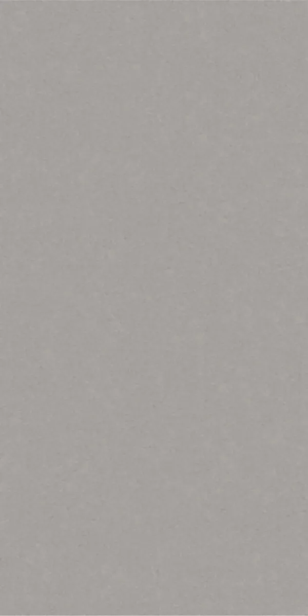 Matte Finish 60120MT NEO GREY GVT 600x1200mm
