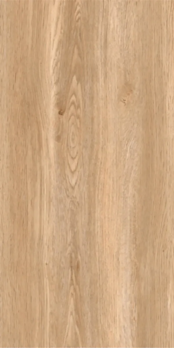 Matte Finish 60120MT AFRICAN WOOD GVT 600x1200mm