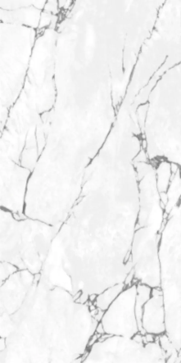 Matte Carving Finish PEGAMENTO ALASKA GVT 600x1200mm